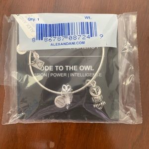Alex and Ani: Ode to the Owl